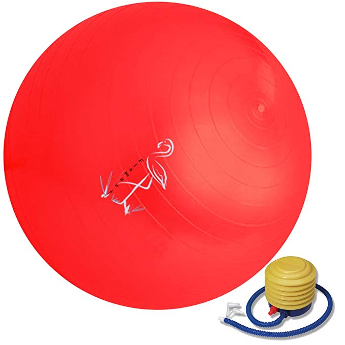Exercise Ball 65cm – Anti-Burst Yoga Ball – For ab Workout – Foot Pump Included