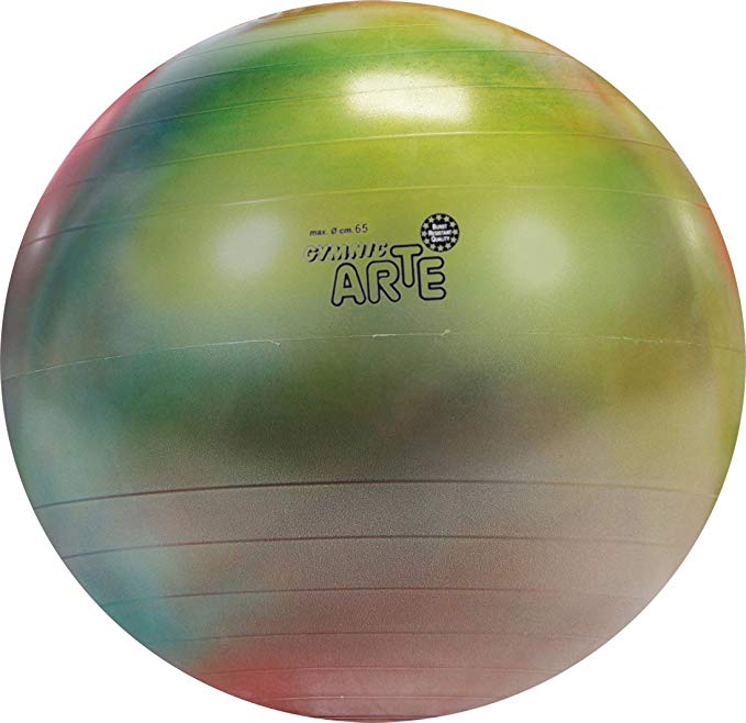 Gymnic Arte Plus Burst-Resistant Exercise Ball (65 cm)