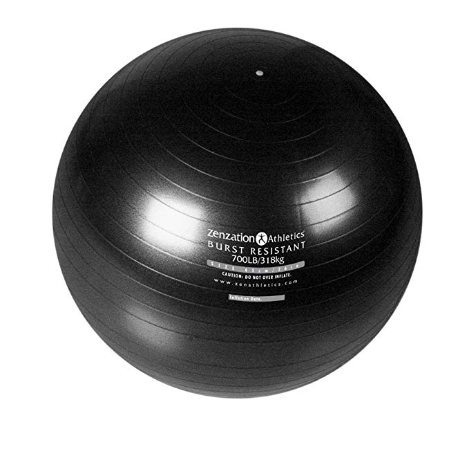 Trimax Sports Zenzation Exercise Ball