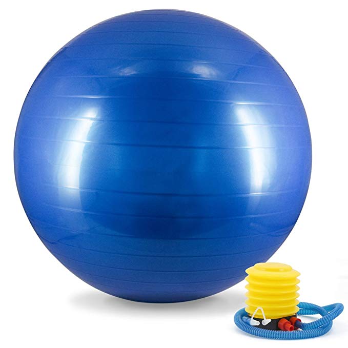 Yoga Ball Exercise Ball Stability Balance Ball with Inflator Pump Anti Burst for Pregnancy Pregnant Women Heavy Duty 65cm Fitness Gym Workout Core Pilates Foot Chairs Office Desk Inflatable 2000 lbs