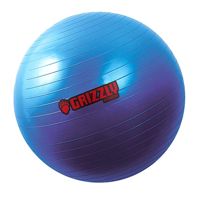 Grizzly Fitness 29.5-Inch Anti Burst Training Ball