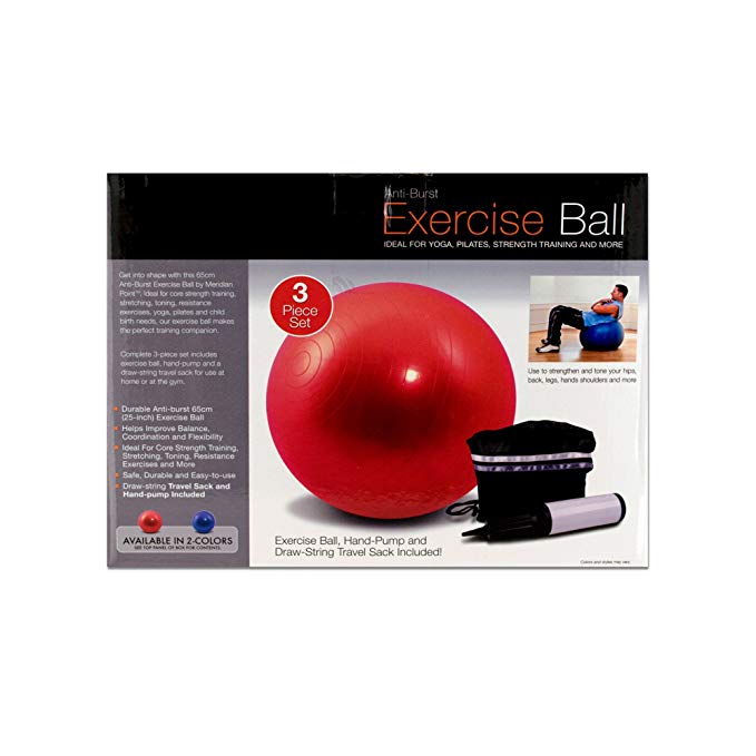 Pilates Exercise Ball And Pump