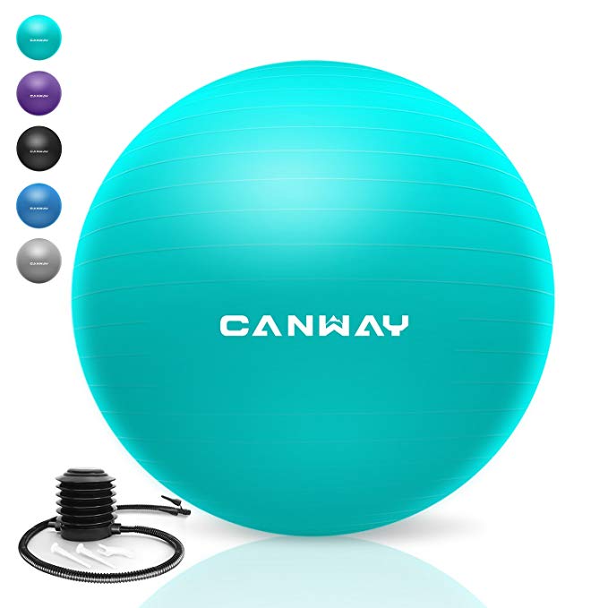 Canway Exercise Ball - Extra Thick & Slip Resistant Workout Ball, Professional Grade 2200lbs Anti-Burst Stability Ball, 65CM Yoga Ball with Quick Foot Pump