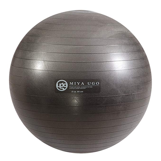 1000bls Anti-Burst Exercise Stability Ball Yoga Ball with Foot Pump