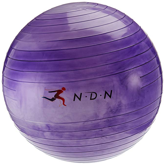 NDN LINE Purple Exercise Ball, Gym Ball, Swiss Ball, Stability Ball, Fitness Pilates Ball for Women (Pump Included)