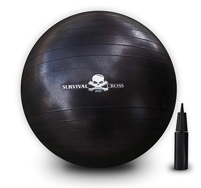 Survival and Cross Exercise Yoga Ball 65cm 1000lbs Anti-Burst with Hand Pump